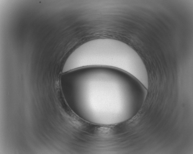 X0000063450176200601201004