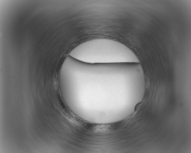 X0000063450179200601201004