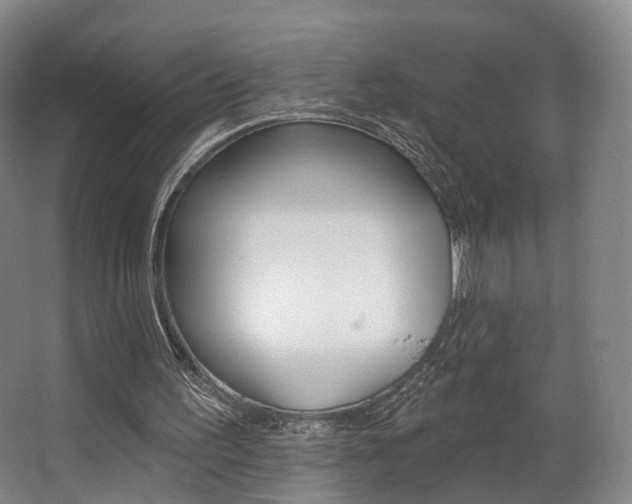 X0000063450195200601201004