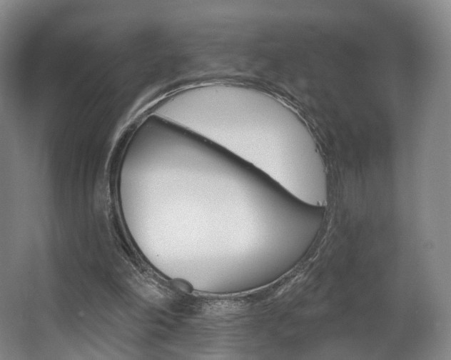 X0000063450198200601201004