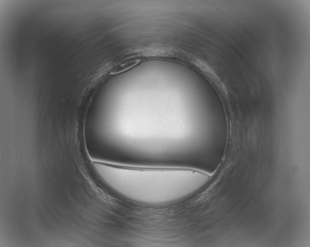 X0000063450201200601201003