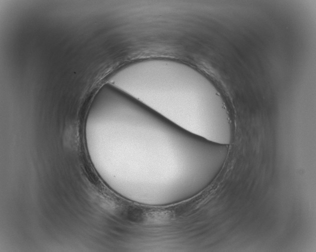 X0000063450202200601201003
