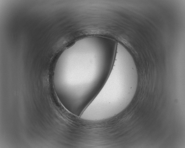 X0000063450207200601201003