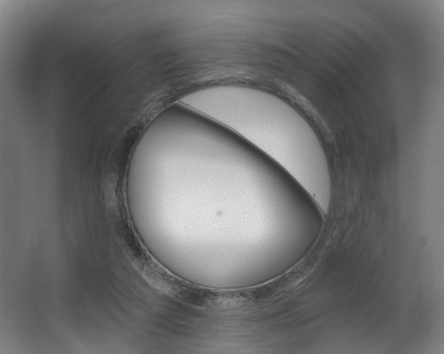 X0000063450209200601201003