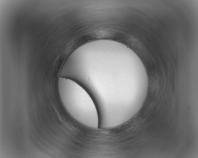 X0000063450214200601201003