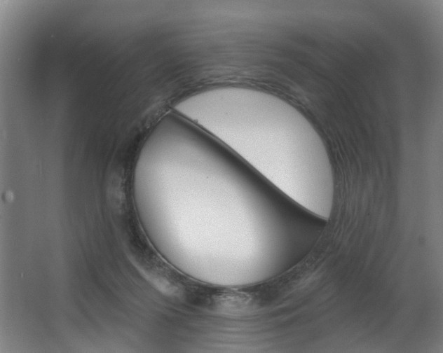 X0000063450215200601201003