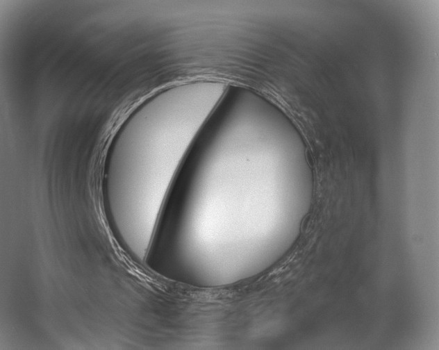 X0000063450241200601201002