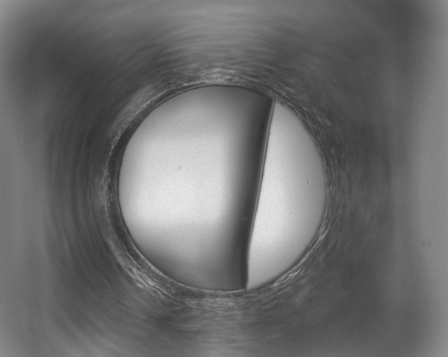 X0000063450242200601201002