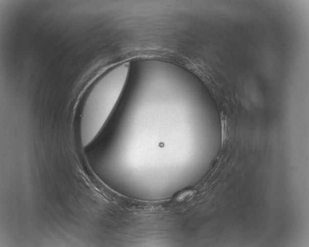 X0000063450243200601201002
