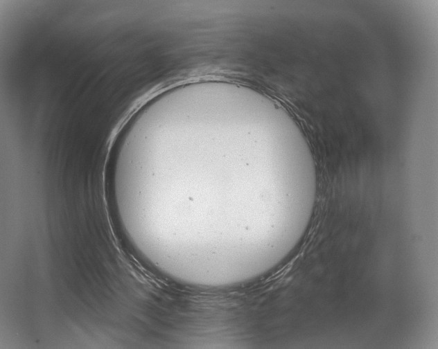 X0000063450244200601201002