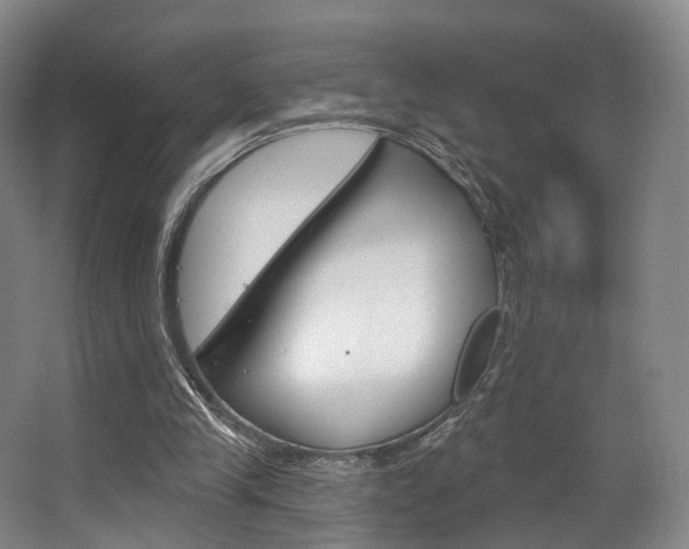 X0000063450245200601201002