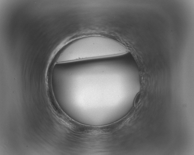 X0000063450246200601201002