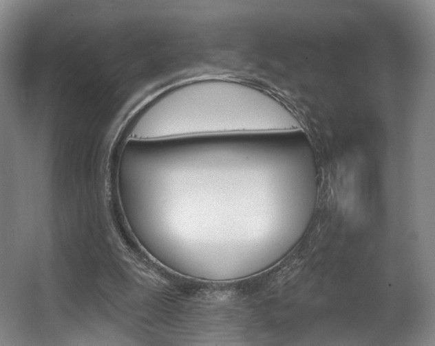 X0000063450247200601201002