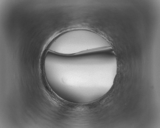 X0000063450248200601201002