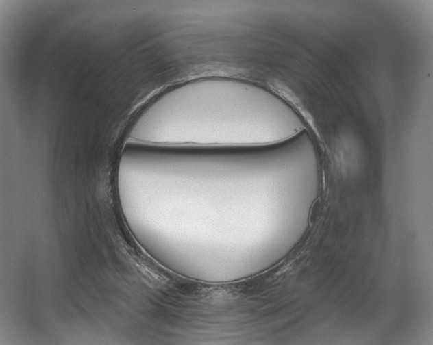 X0000063450249200601201002