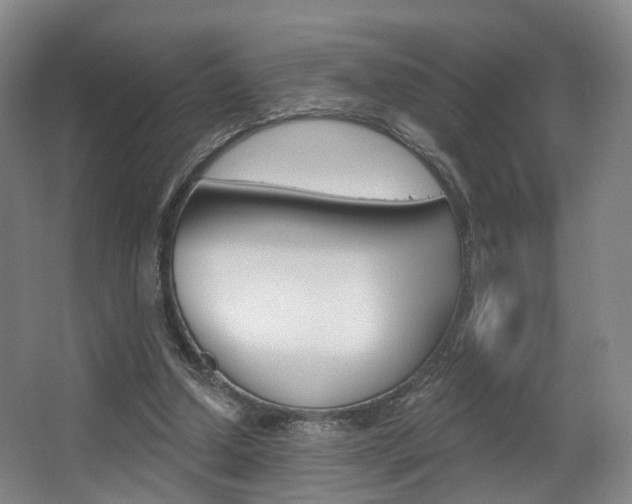 X0000063450250200601201002