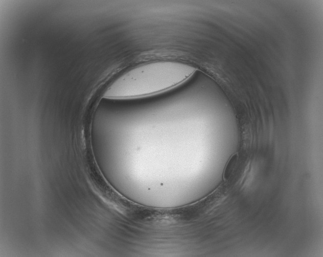 X0000063450254200601201002