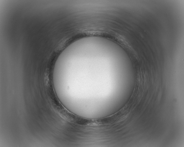 X0000063450259200601201002