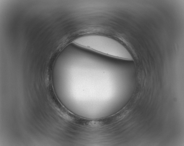 X0000063450261200601201002