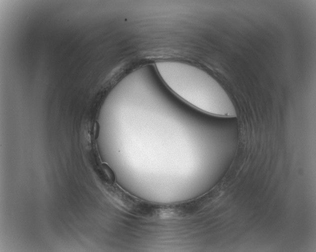 X0000063450264200601201002