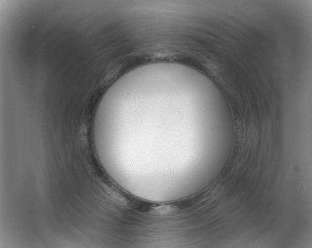 X0000063450269200601201002