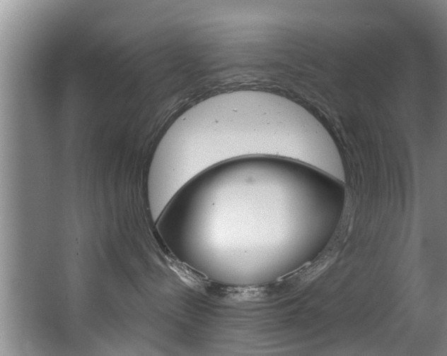 X0000063450288200601201003