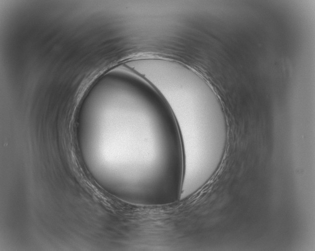 X0000063450289200601201002