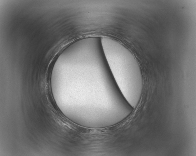 X0000063450290200601201002
