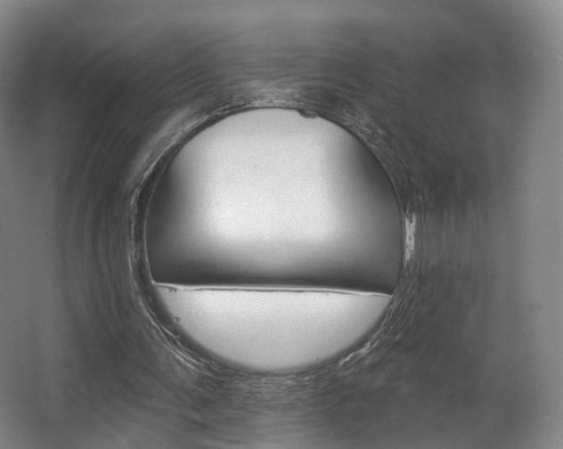 X0000063450291200601201002