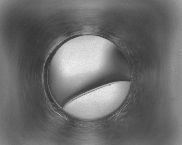 X0000063450292200601201002