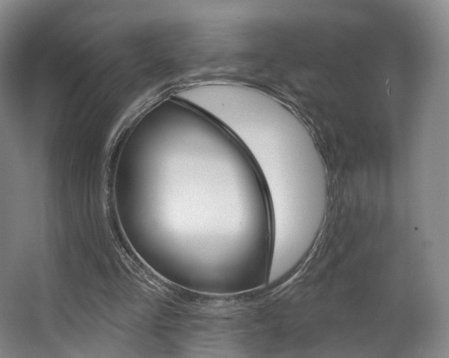 X0000063450293200601201002