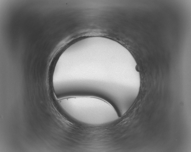 X0000063450296200601201002