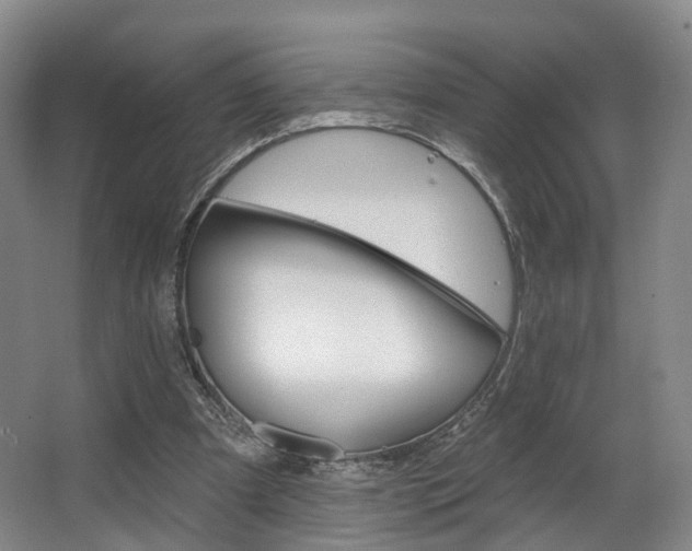 X0000063450297200601201002
