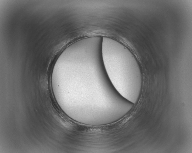 X0000063450298200601201002