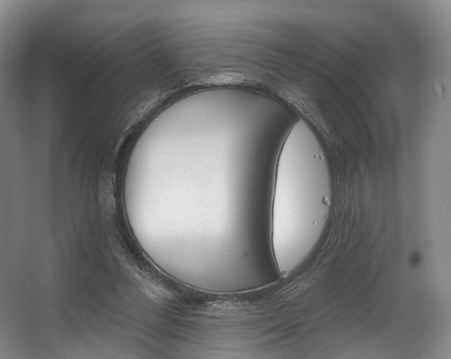X0000063450300200601201002