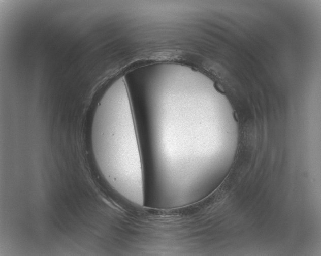 X0000063450303200601201002