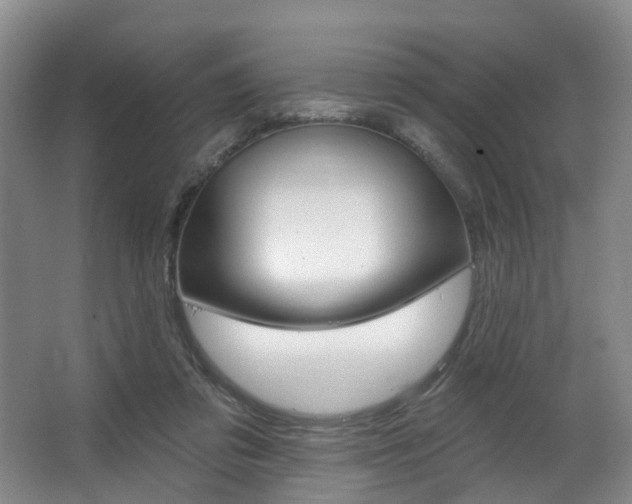 X0000063450309200601201002