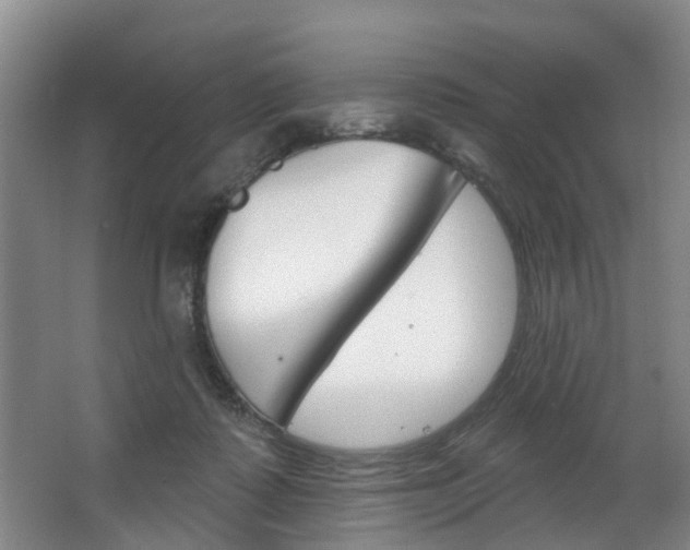X0000063450315200601201002