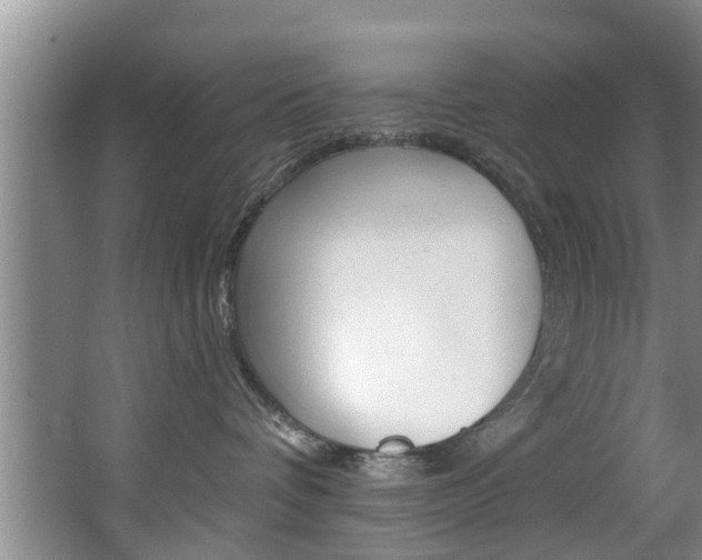 X0000063450336200601201001