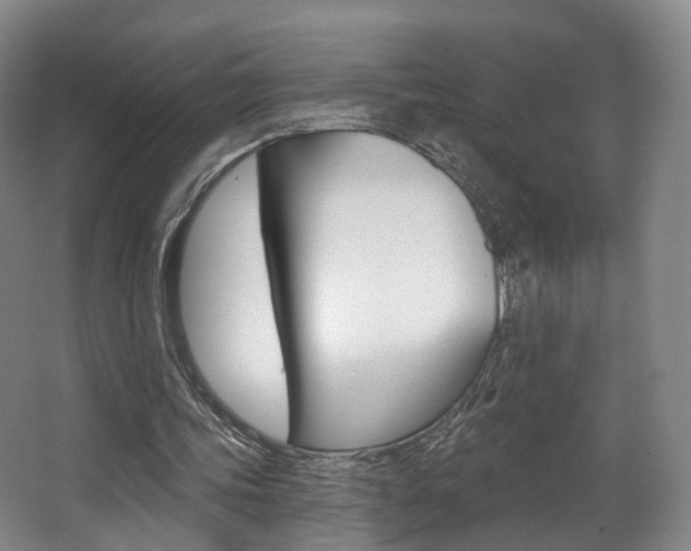 X0000063450339200601201000