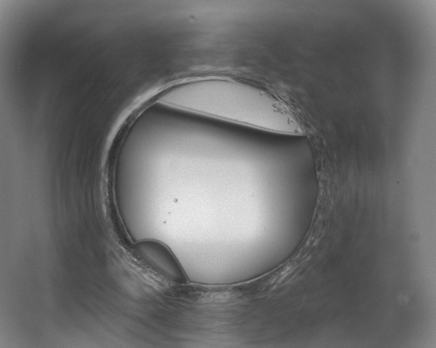 X0000063450342200601201000