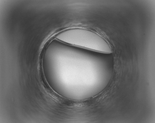 X0000063450344200601201000