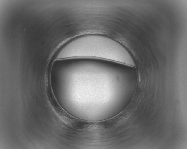 X0000063450348200601201001