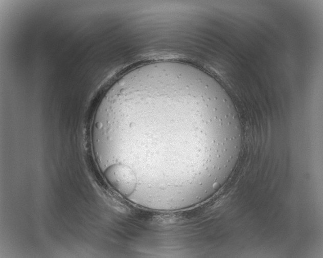 X0000063450351200601201001
