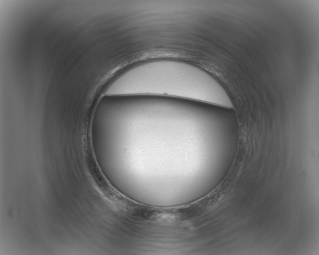 X0000063450352200601201001
