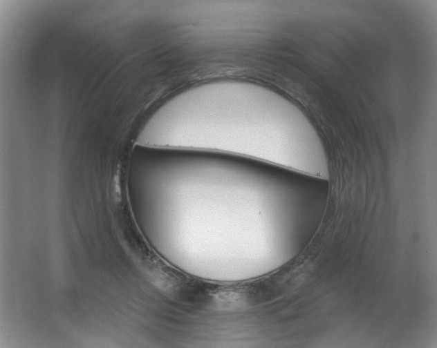 X0000063450358200601201001