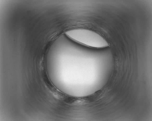 X0000063450364200601201001
