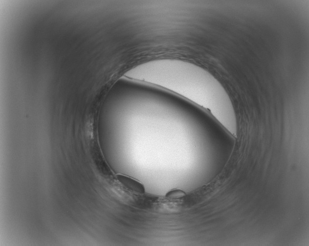 X0000063450368200601201001
