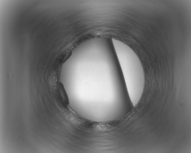 X0000063450372200601201001