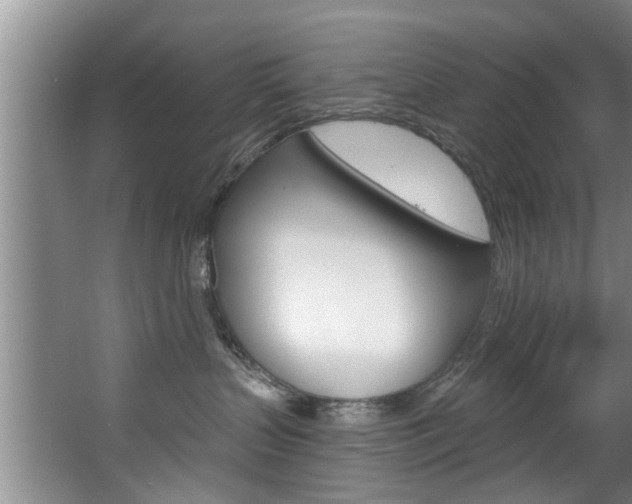 X0000063450383200601201001